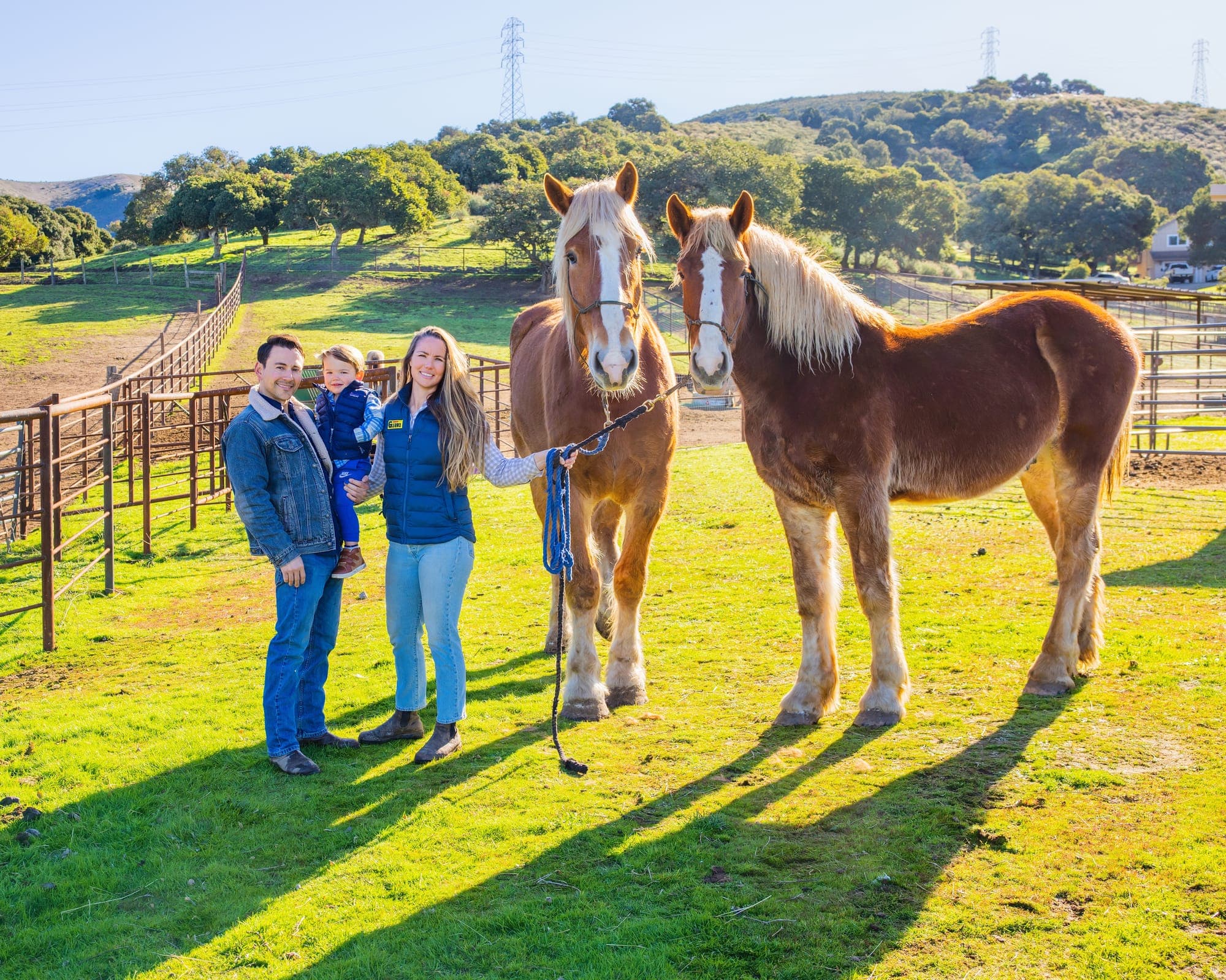 Draft horses and ranch hands in a golden Central Coast field