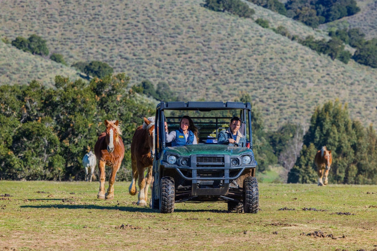 Vineyard and ranch work captured on the Central Coast
