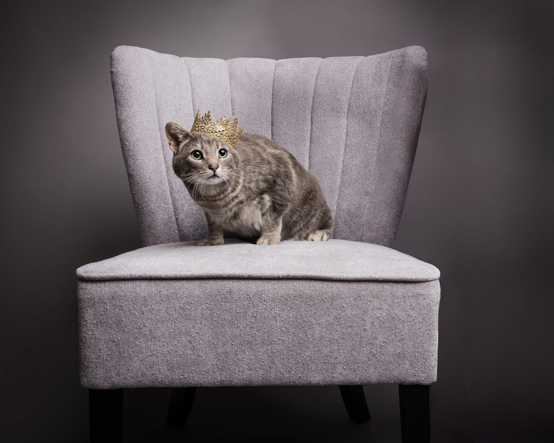 Outdoor pet photography on California's Central Coast