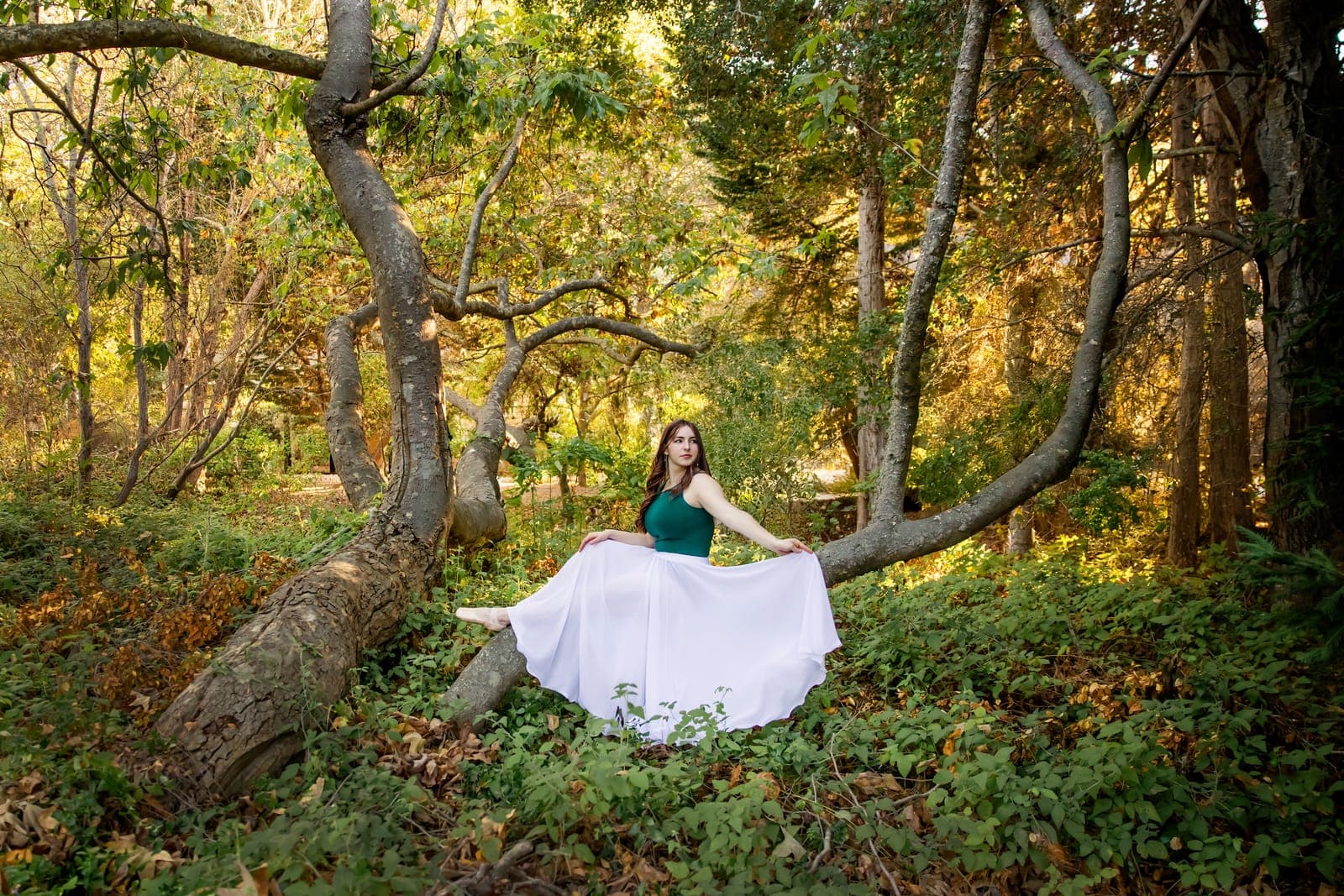 High school senior photographed at Shell Beach during golden hour